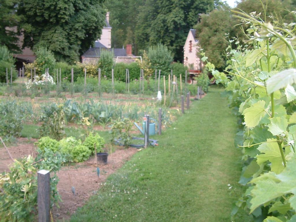 Chateau Du Beugnon Acomodação com café da manhã Tigné Exterior foto