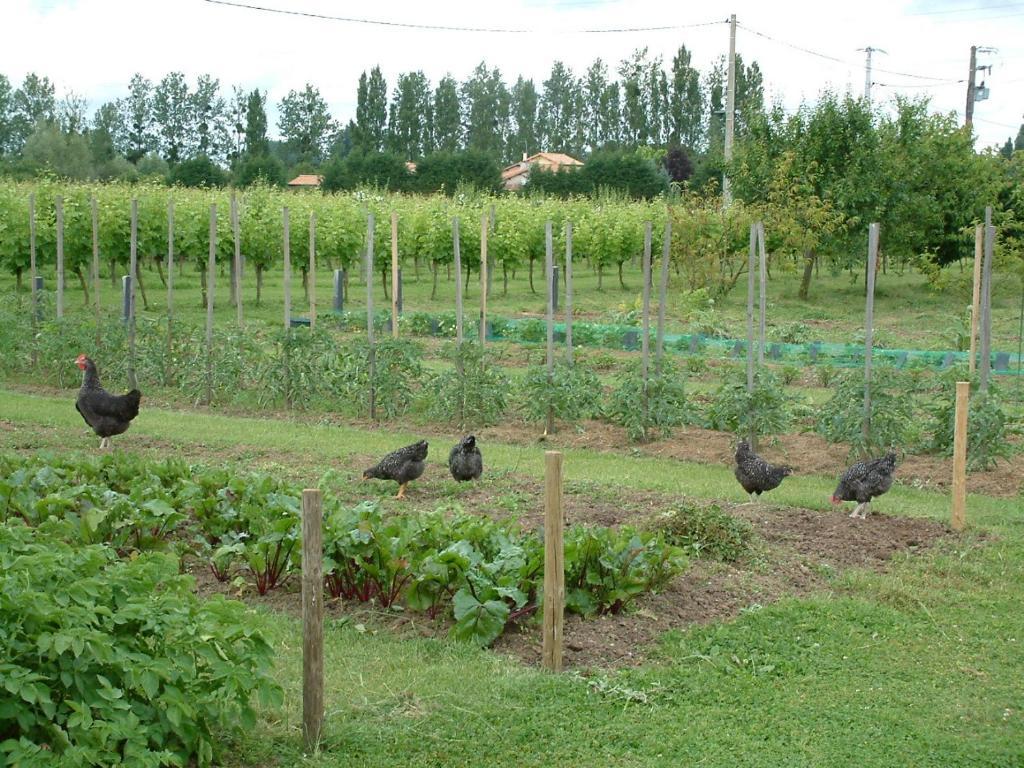 Chateau Du Beugnon Acomodação com café da manhã Tigné Exterior foto