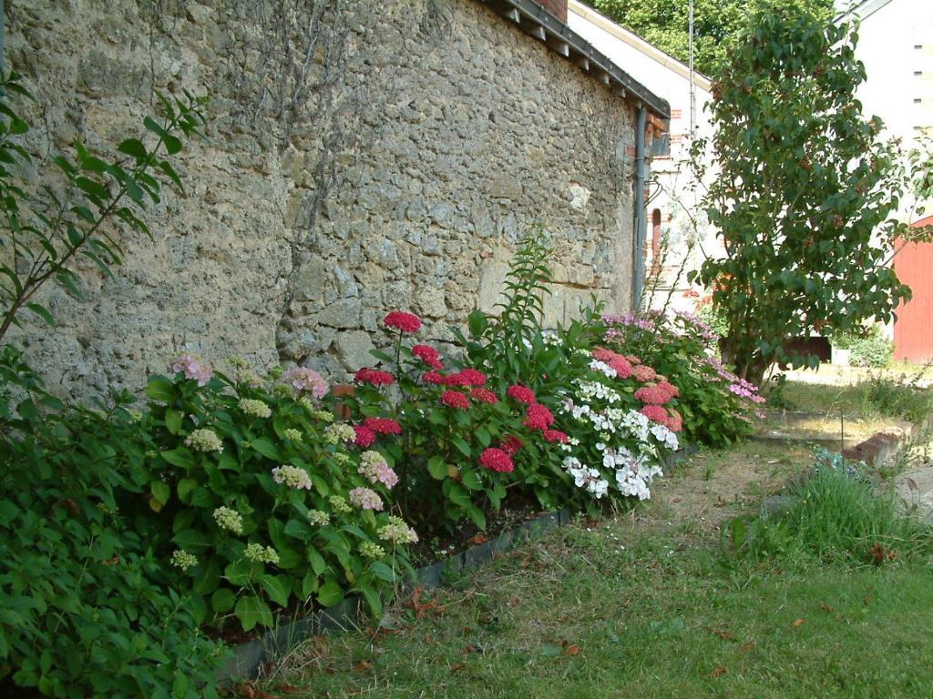 Chateau Du Beugnon Acomodação com café da manhã Tigné Exterior foto