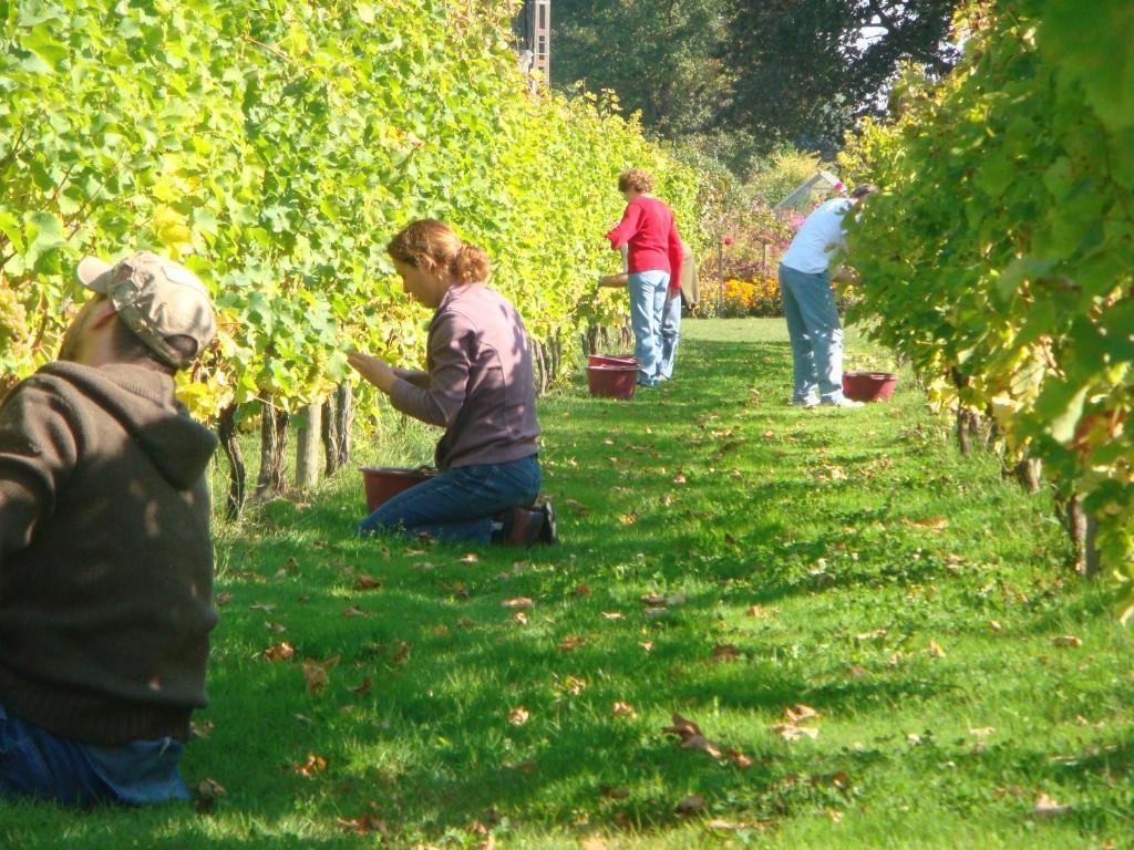Chateau Du Beugnon Acomodação com café da manhã Tigné Exterior foto